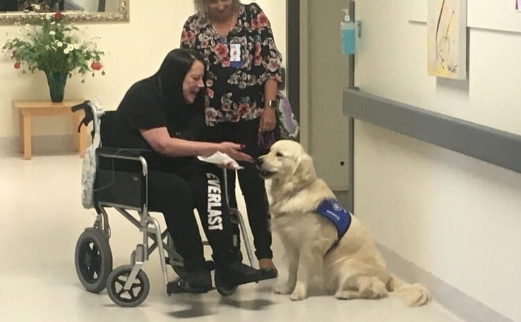pets massage arts help terminally ill patients