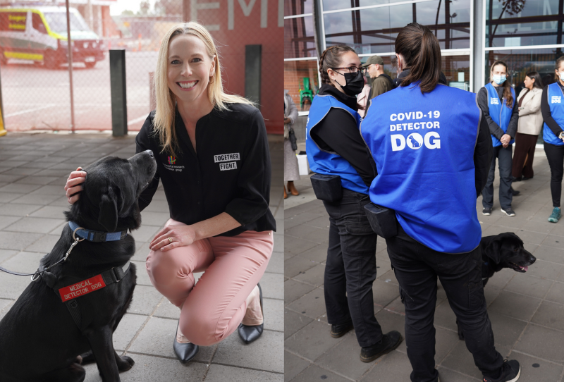 Amy from THRFG smiles at camera patting one of the COVID detector dogs at Lyell McEwin Hospital.