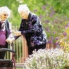 Aged care