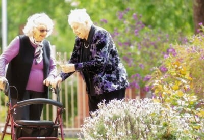 Aged care